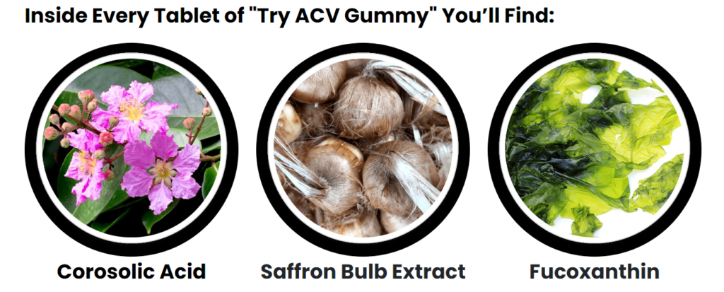 TRY ACV GUMMY-100-All-Natrual INGRADIENTS